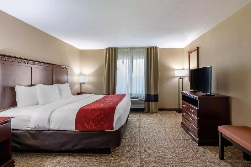 キングサイズベッドのスイートルーム, Comfort Suites
