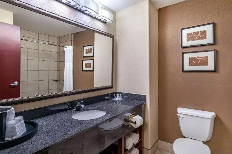 キングサイズベッドのスイートルーム, Comfort Suites