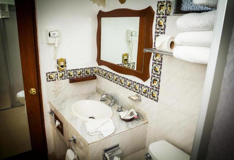 חדר סטנדרט עם מיטת קינג, Del Angel, Apizaco