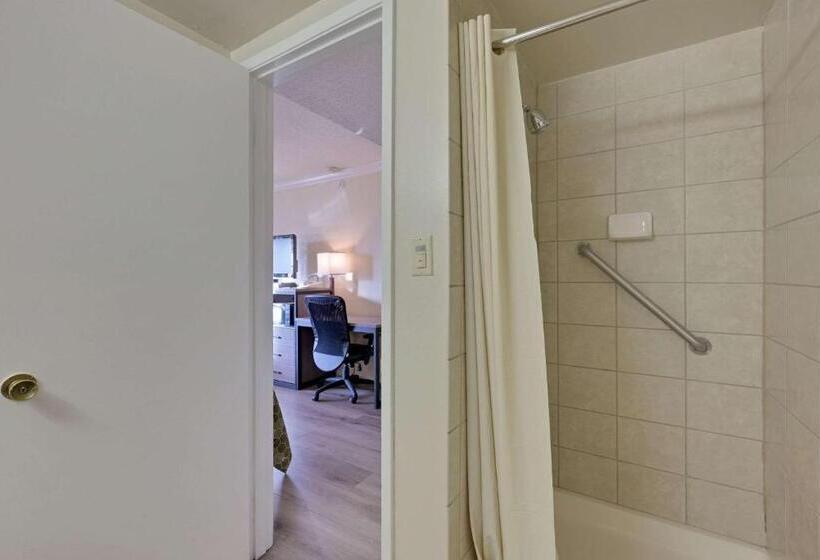 غرفة قياسية, Econo Lodge Woodland Near I 5