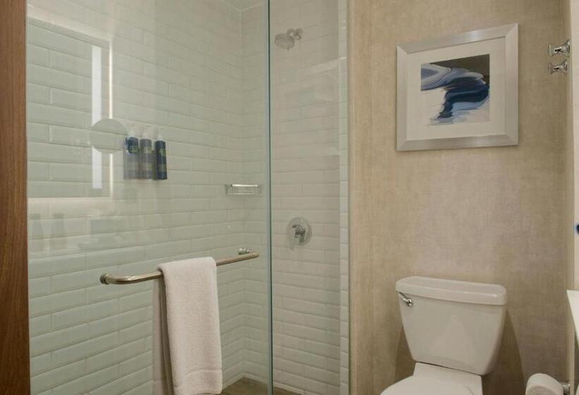 سوئیت با تخت بزرگ, Four Points By Sheraton Distrito Uno Chihuahua