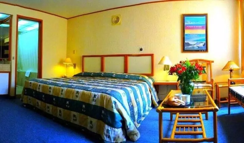 Executive-huone, Oliva Plaza