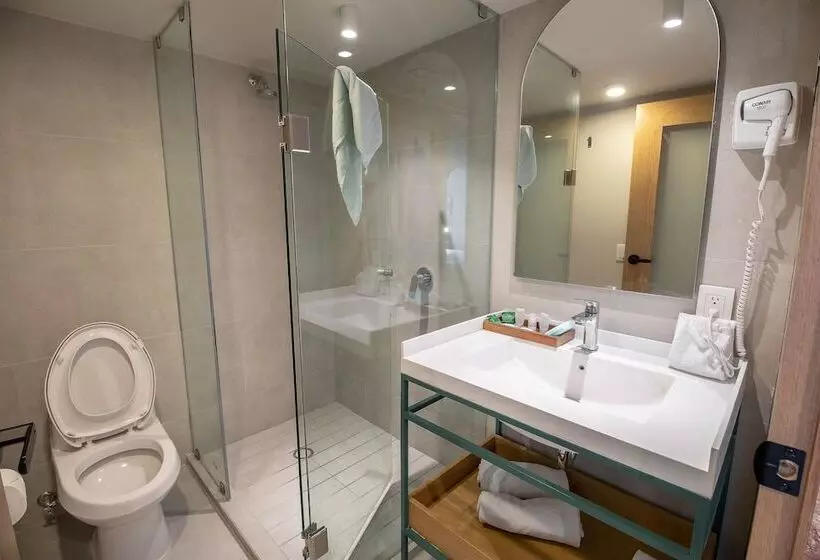 Executive-huone, Oliva Plaza