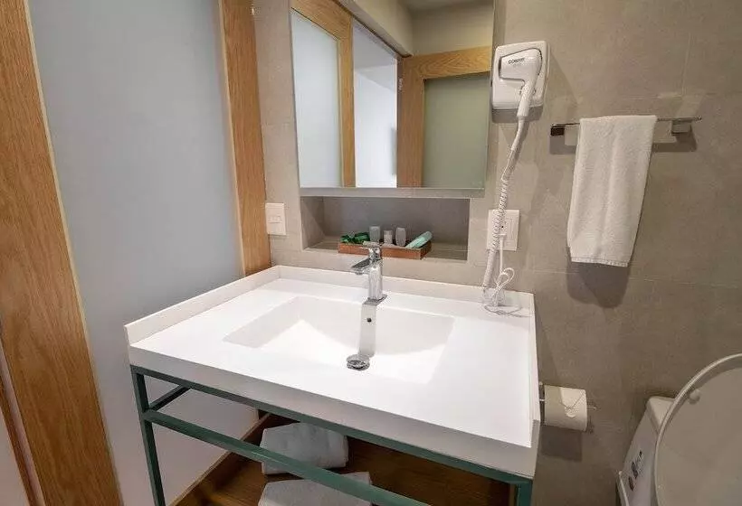 Executive-huone, Oliva Plaza