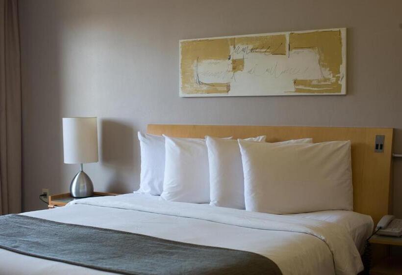 חדר סטנדרט, Grand Bittar