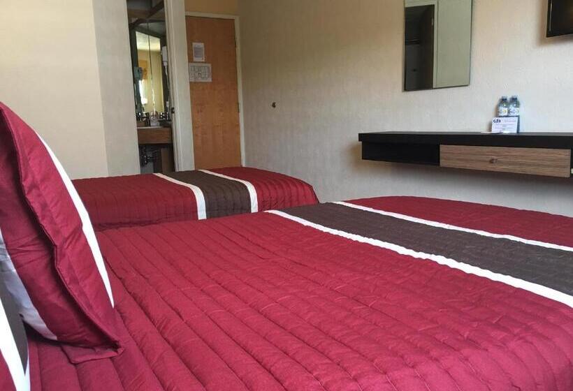 חדר סטנדרט, Ibeurohotel Guadalajara Expo