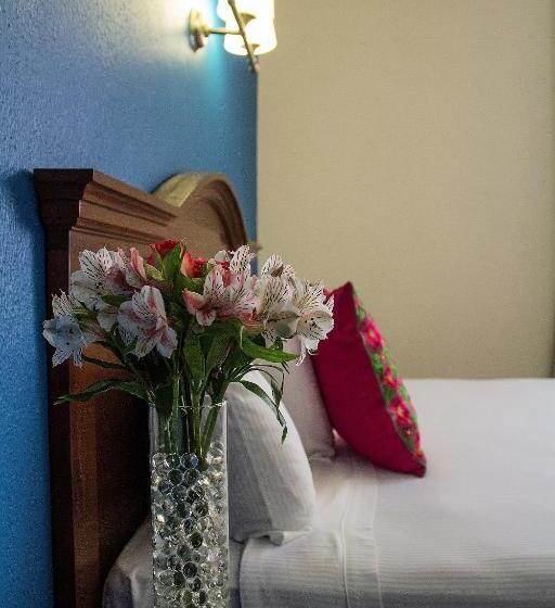 سوییت جونیور, Plaza Campeche