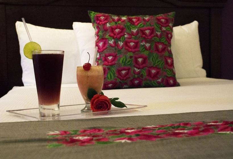 سوییت جونیور, Plaza Campeche