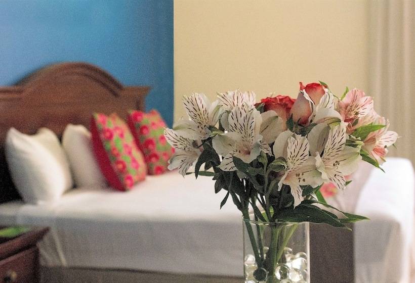 سوییت جونیور, Plaza Campeche