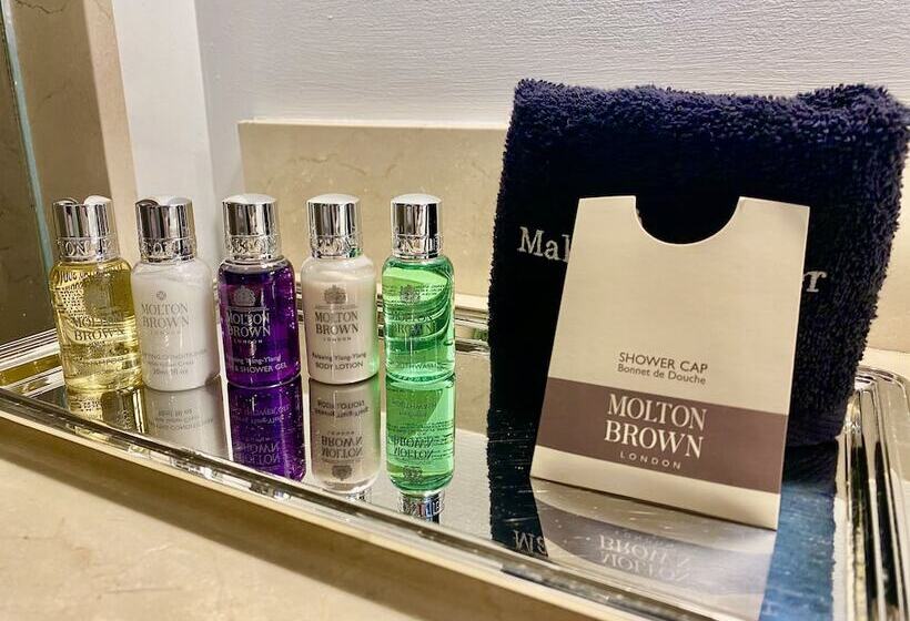 スーペリアールーム, The Franklin On Rittenhouse, A Boutique