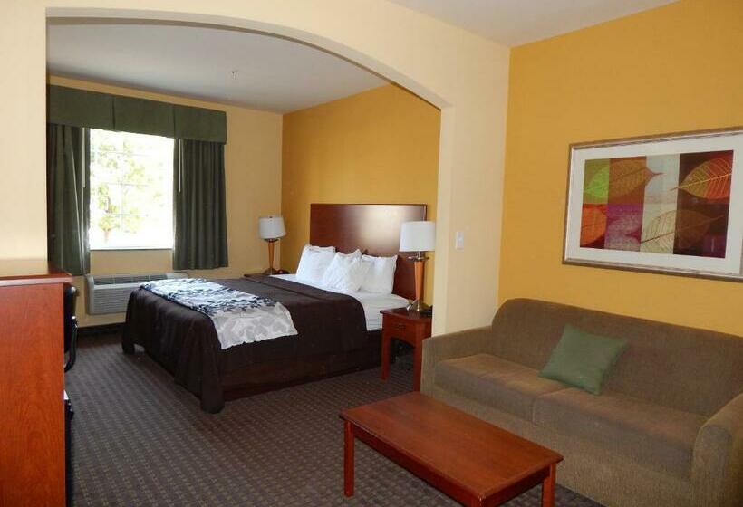 غرفة قياسية سرير كينج, Sleep Inn & Suites At Kennesaw State University
