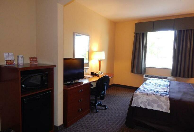 스탠다드 룸 킹사이즈 침대, Sleep Inn & Suites At Kennesaw State University