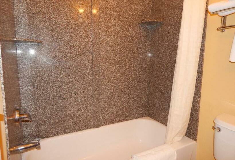 스탠다드 룸 킹사이즈 침대, Sleep Inn & Suites At Kennesaw State University