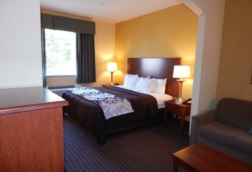 스탠다드 룸 킹사이즈 침대, Sleep Inn & Suites At Kennesaw State University