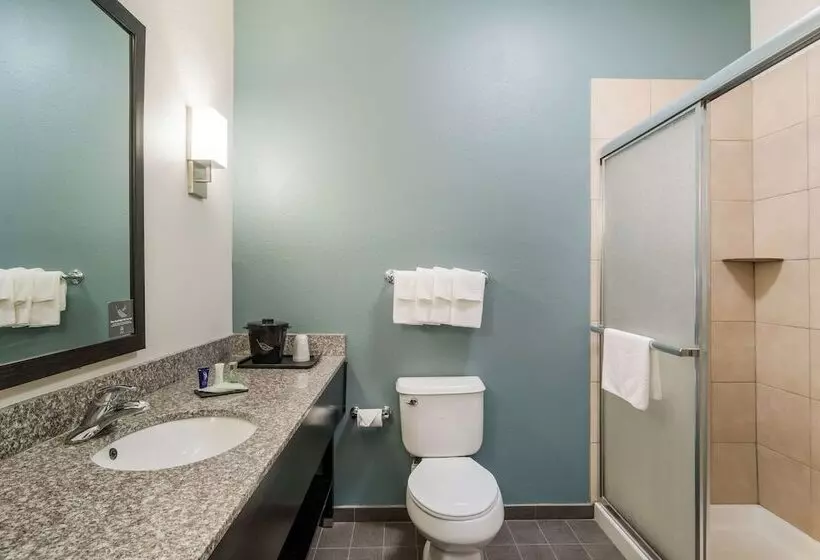スイート, Sleep Inn & Suites At Kennesaw State University