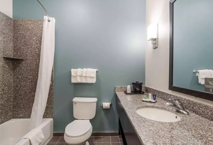 スイート, Sleep Inn & Suites At Kennesaw State University