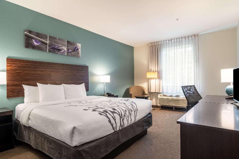 스탠다드 룸 킹사이즈 침대, Sleep Inn & Suites At Kennesaw State University