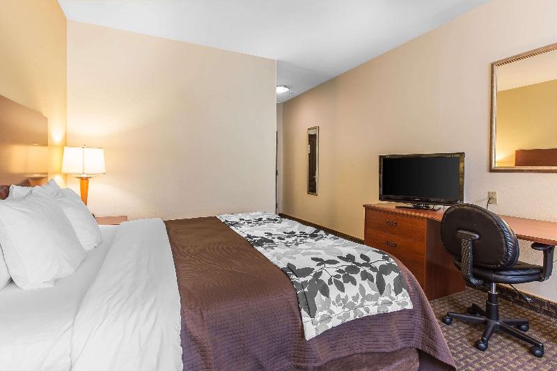 스탠다드 룸 킹사이즈 침대, Sleep Inn & Suites At Kennesaw State University