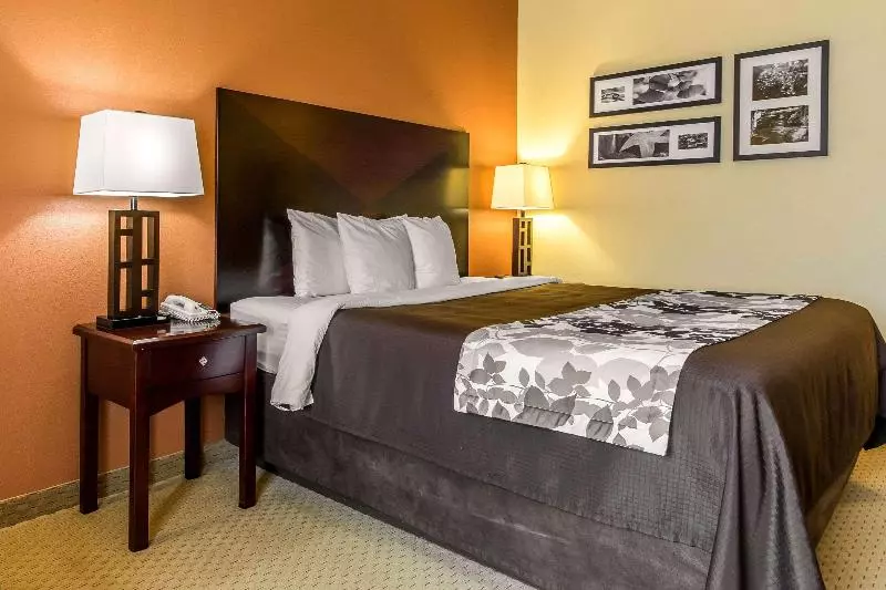 اتاق استاندارد با تخت بزرگ, Sleep Inn & Suites Huntsville Near U.s. Space & Rocket Center