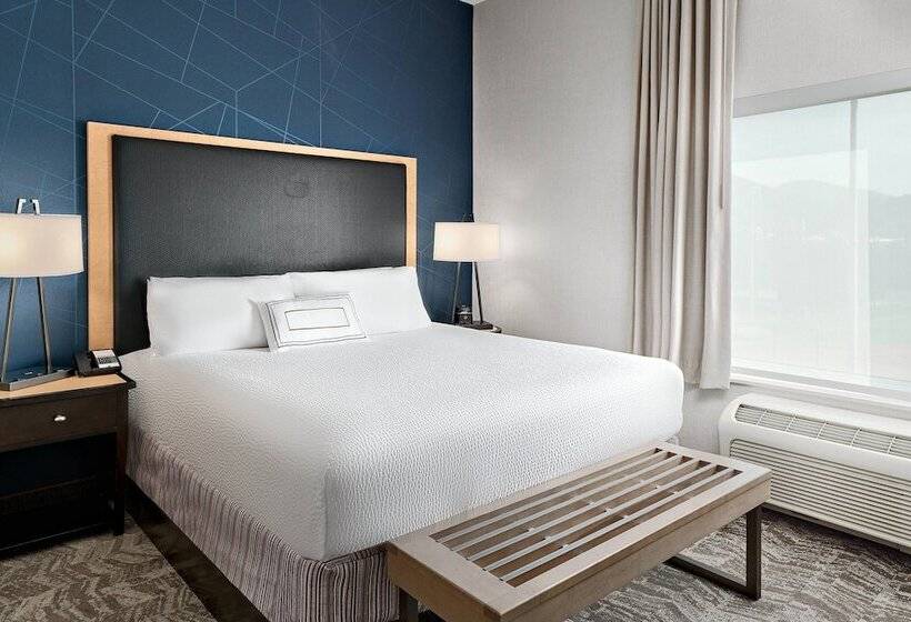 جناح, Springhill Suites By Marriott Roanoke