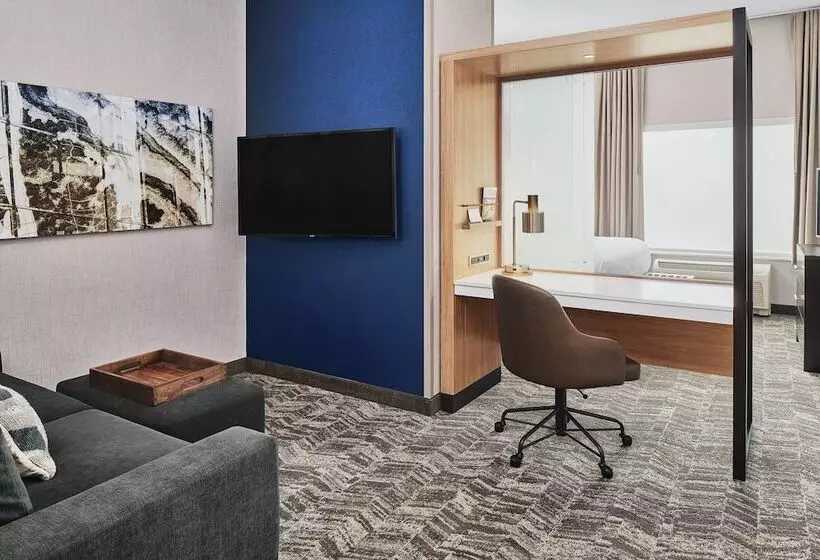 スイート, Springhill Suites By Marriott Roanoke