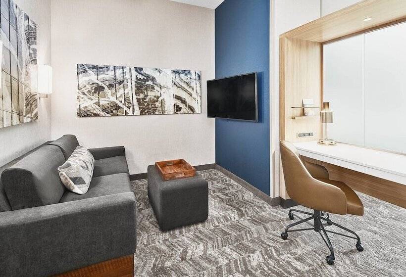 スイート, Springhill Suites By Marriott Roanoke