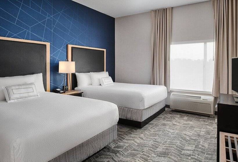 جناح, Springhill Suites By Marriott Roanoke