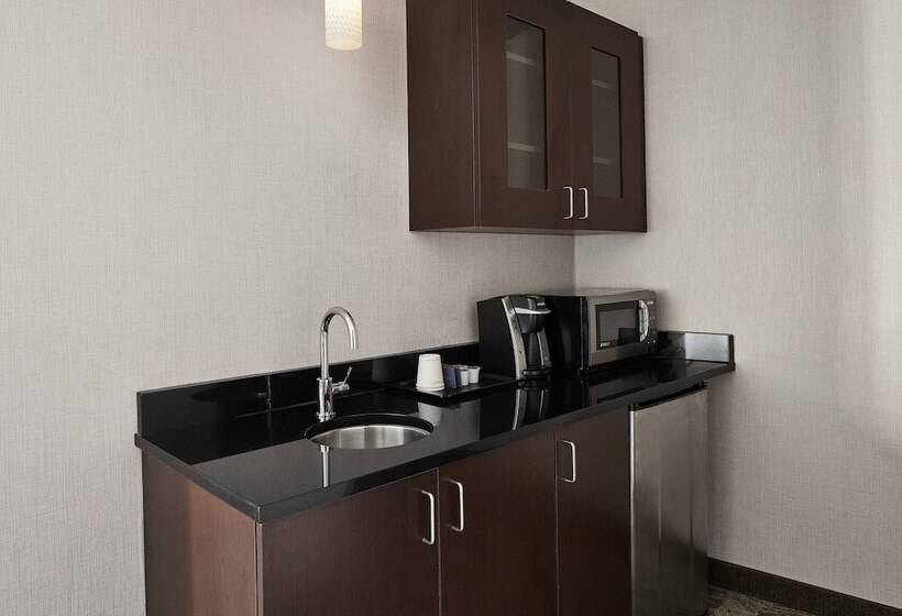 جناح بغرفتي نوم, Springhill Suites By Marriott Roanoke