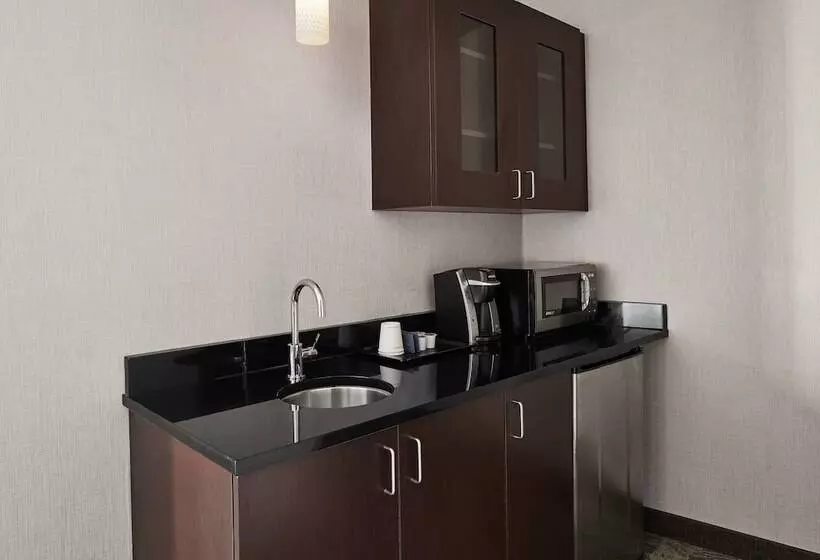 2 Bedroom Suite Mountain View, Springhill Suites By Marriott Roanoke