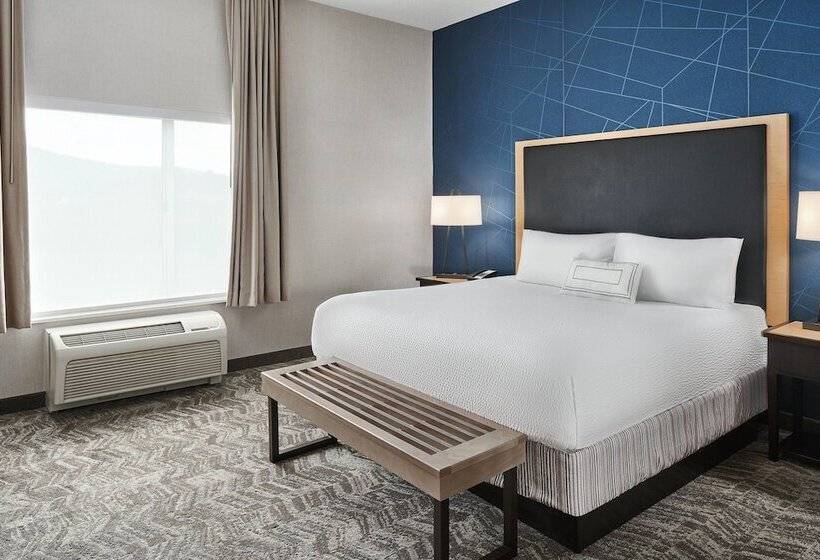 جناح, Springhill Suites By Marriott Roanoke