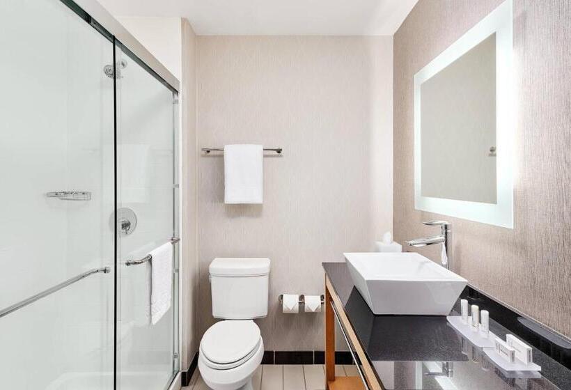 جناح سرير كينج, Springhill Suites By Marriott Roanoke