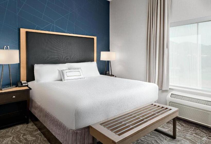 جناح سرير كينج, Springhill Suites By Marriott Roanoke