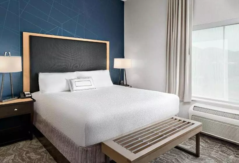 キングサイズベッドのスイートルーム, Springhill Suites By Marriott Roanoke