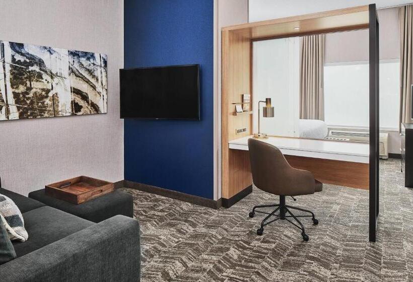 キングサイズベッドのスイートルーム, Springhill Suites By Marriott Roanoke