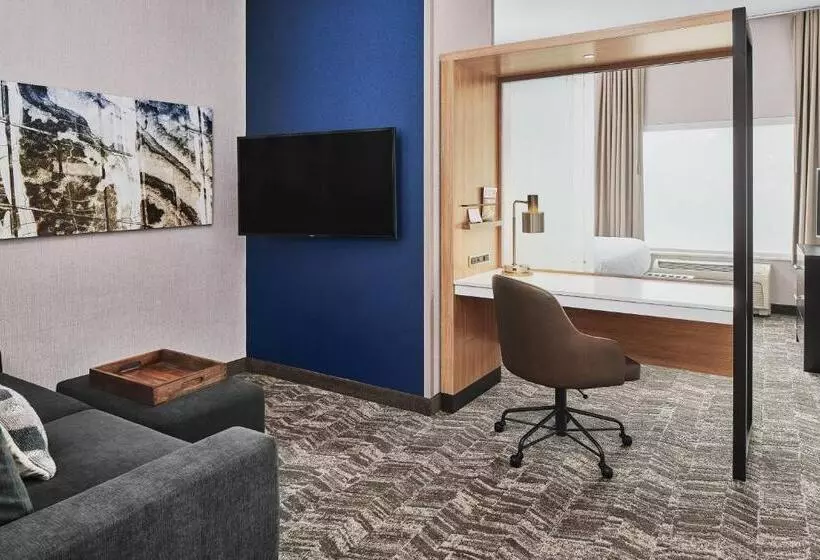 キングサイズベッドのスイートルーム, Springhill Suites By Marriott Roanoke