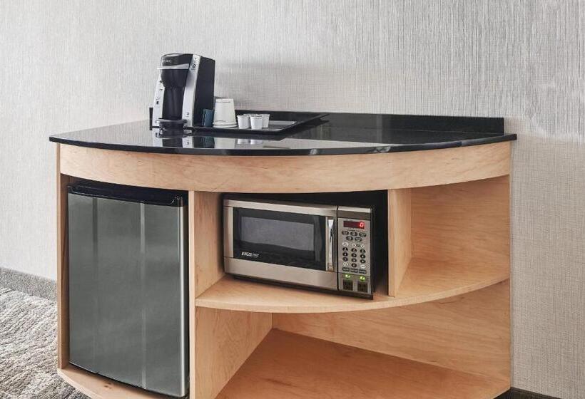 جناح, Springhill Suites By Marriott Roanoke