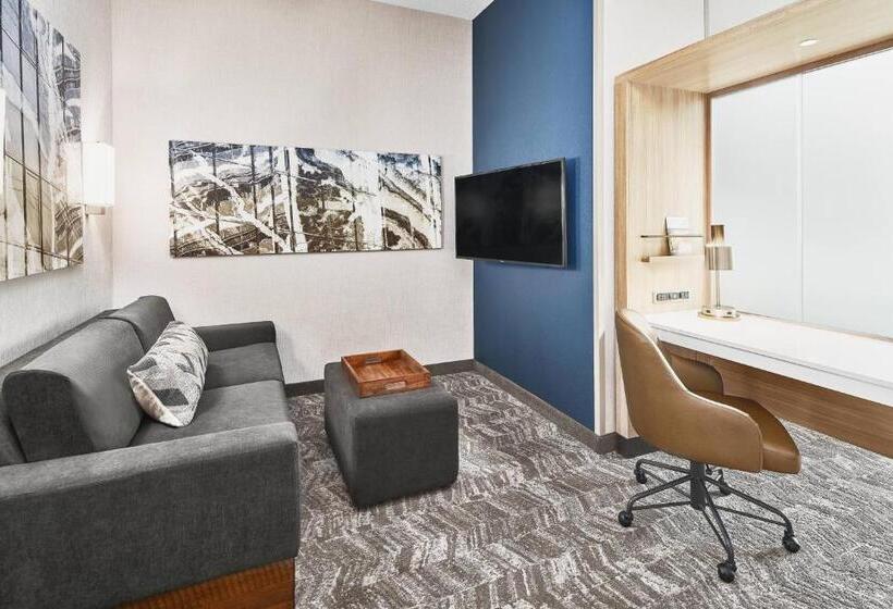スイート, Springhill Suites By Marriott Roanoke