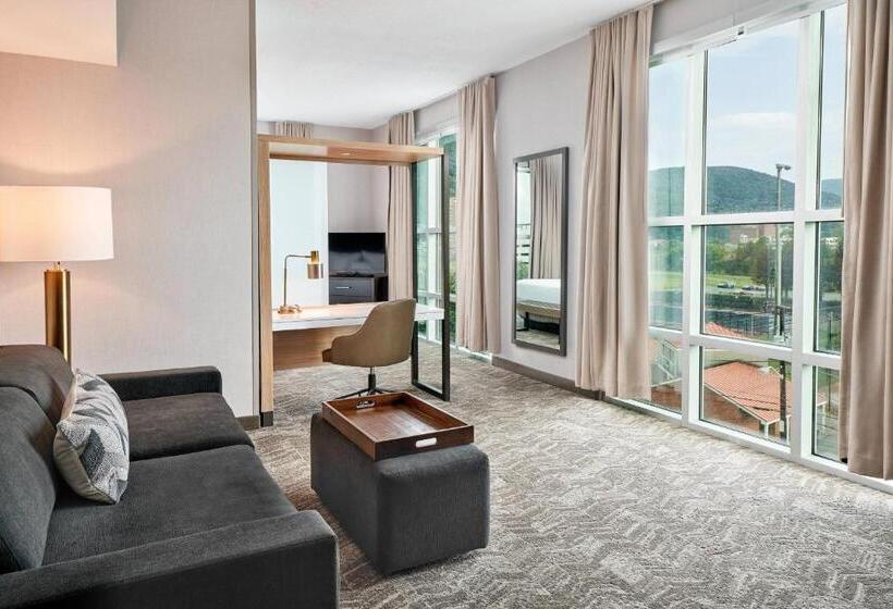 キングサイズベッドのスイートルーム, Springhill Suites By Marriott Roanoke