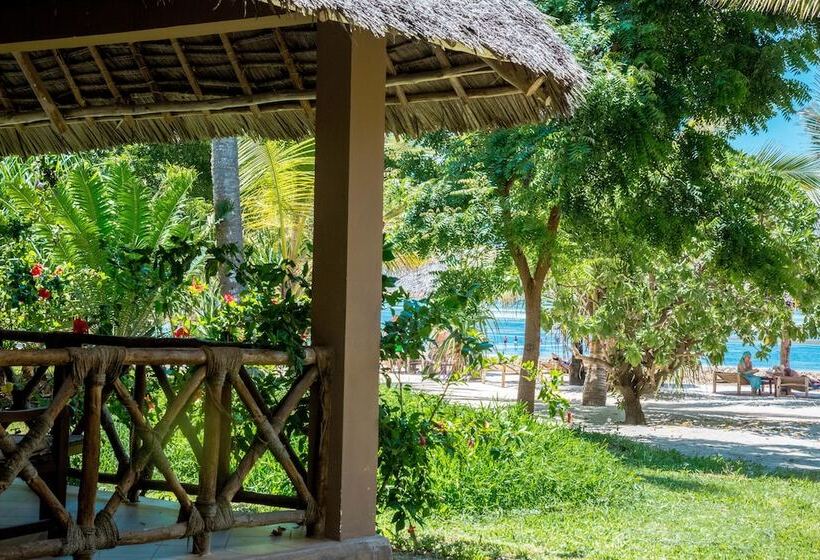 غرفة قياسية مطلّة علي البحر, Jaz Adonia