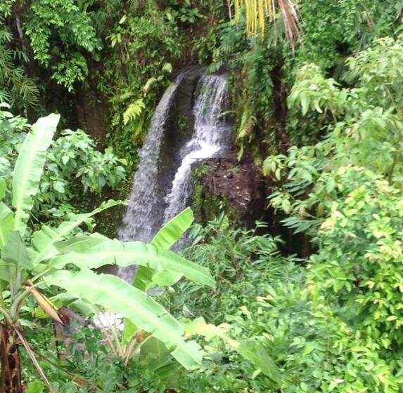 Deluxe Værelse King Size Seng, White Lotus Oasis