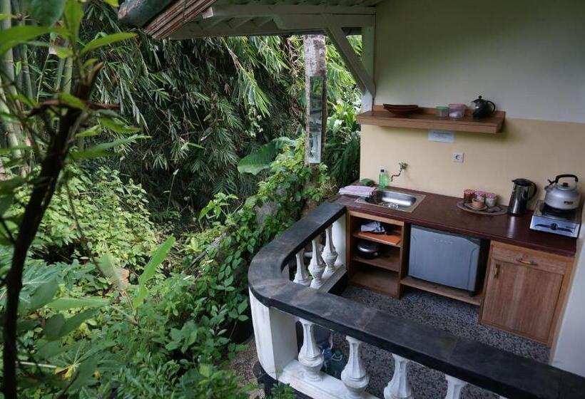 Deluxe Bungalow, White Lotus Oasis