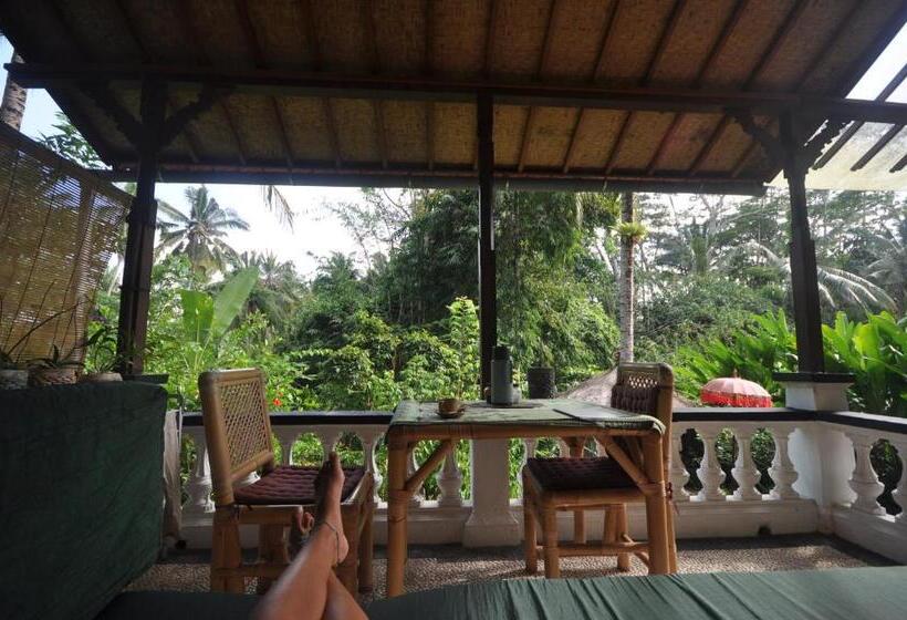 Standard Haveudsigt, White Lotus Oasis