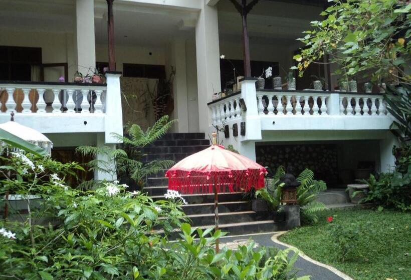 Deluxe Værelse King Size Seng, White Lotus Oasis