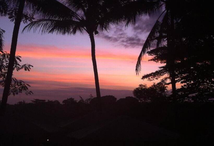 Standard Haveudsigt, White Lotus Oasis