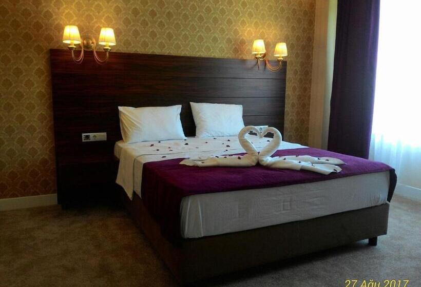 Camera Standard, Bilgehan