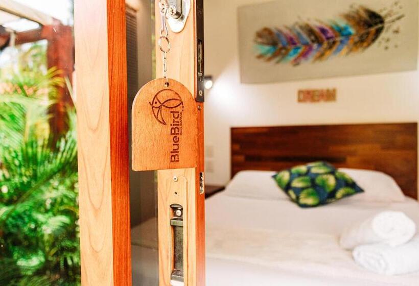 חדר דלוקס, Blue Bird