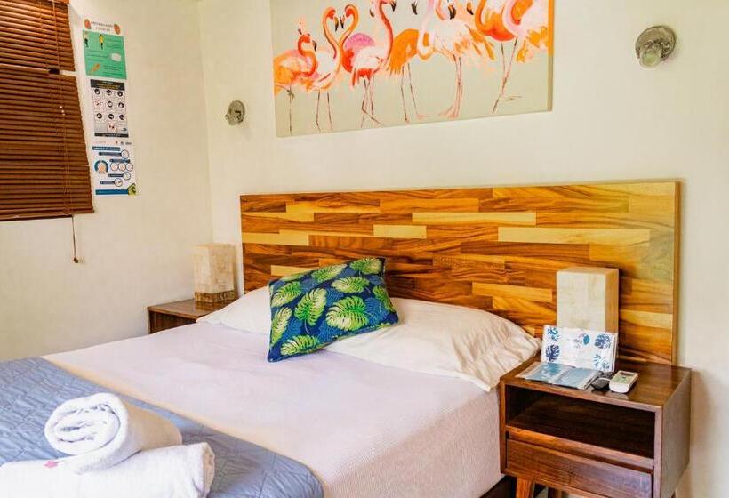 חדר דלוקס, Blue Bird