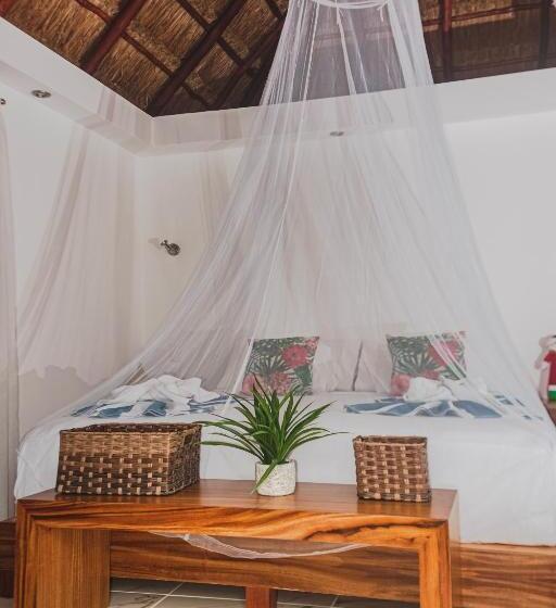 חדר דחוקס עם מיטת קינג, Blue Bird