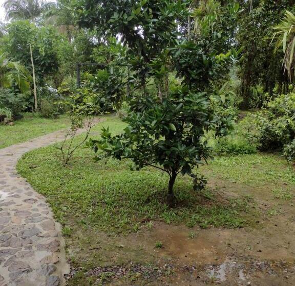 Номер Стандарт, Armazém Do Porto, Chalé Azaléia