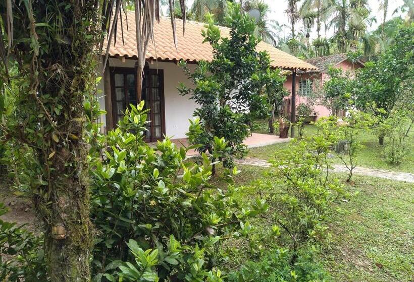 Номер Стандарт, Armazém Do Porto, Chalé Azaléia